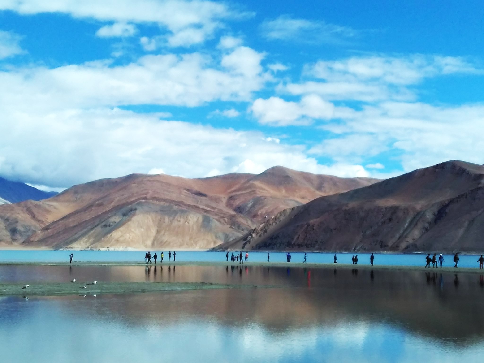 The third week at Pangong Tso –Photo: Priyanka Sundar