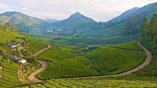 Kodai_to_munnar