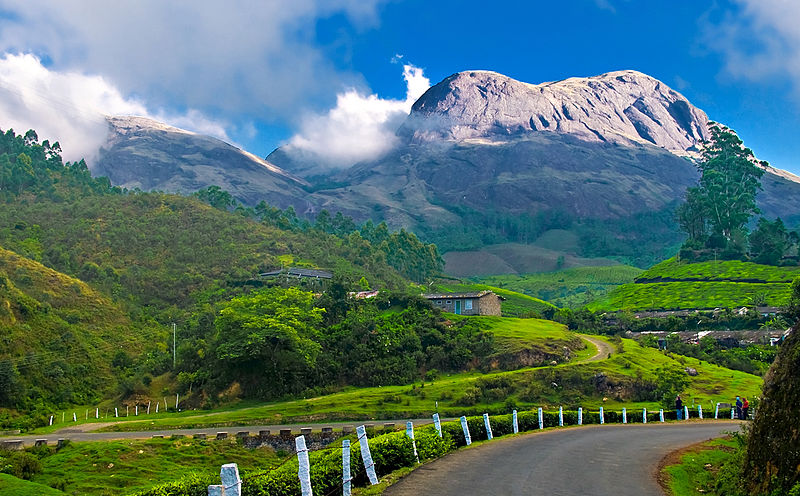 Munnar_hillstation_kerala