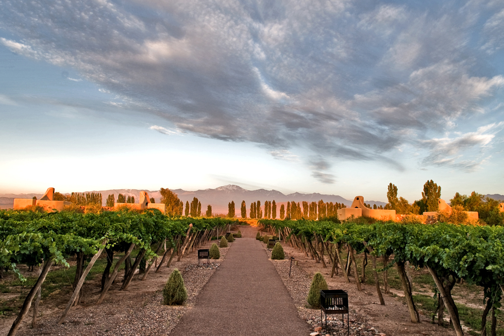 mendoza argentina winery tours