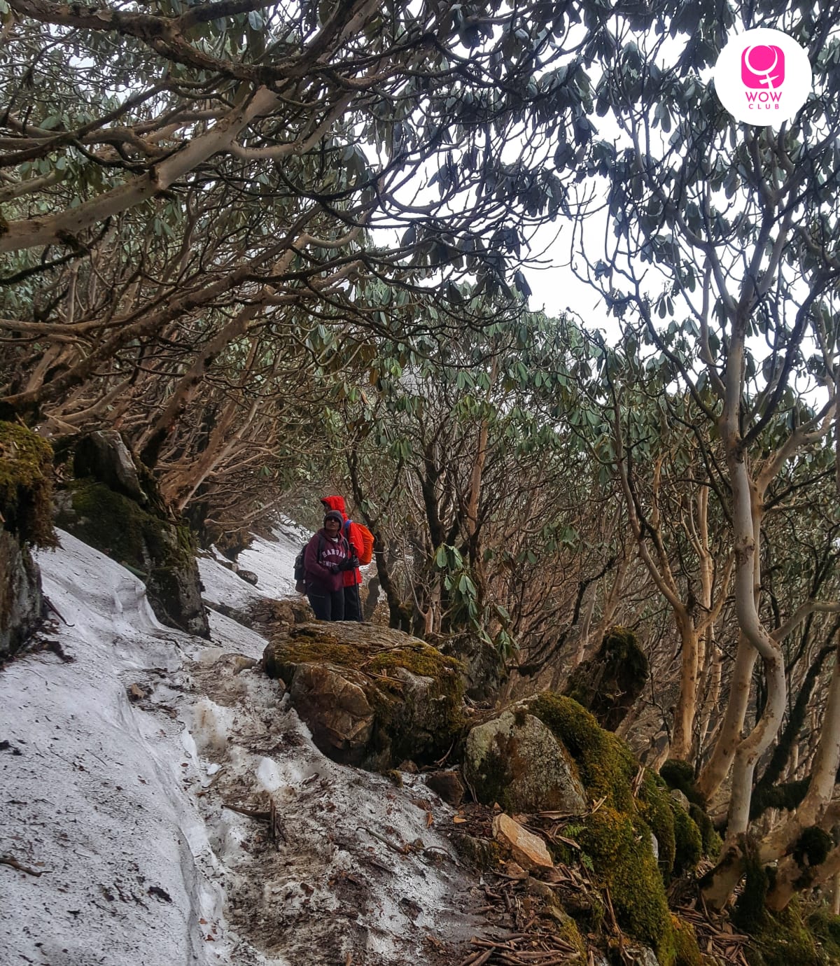 Sikkim snow