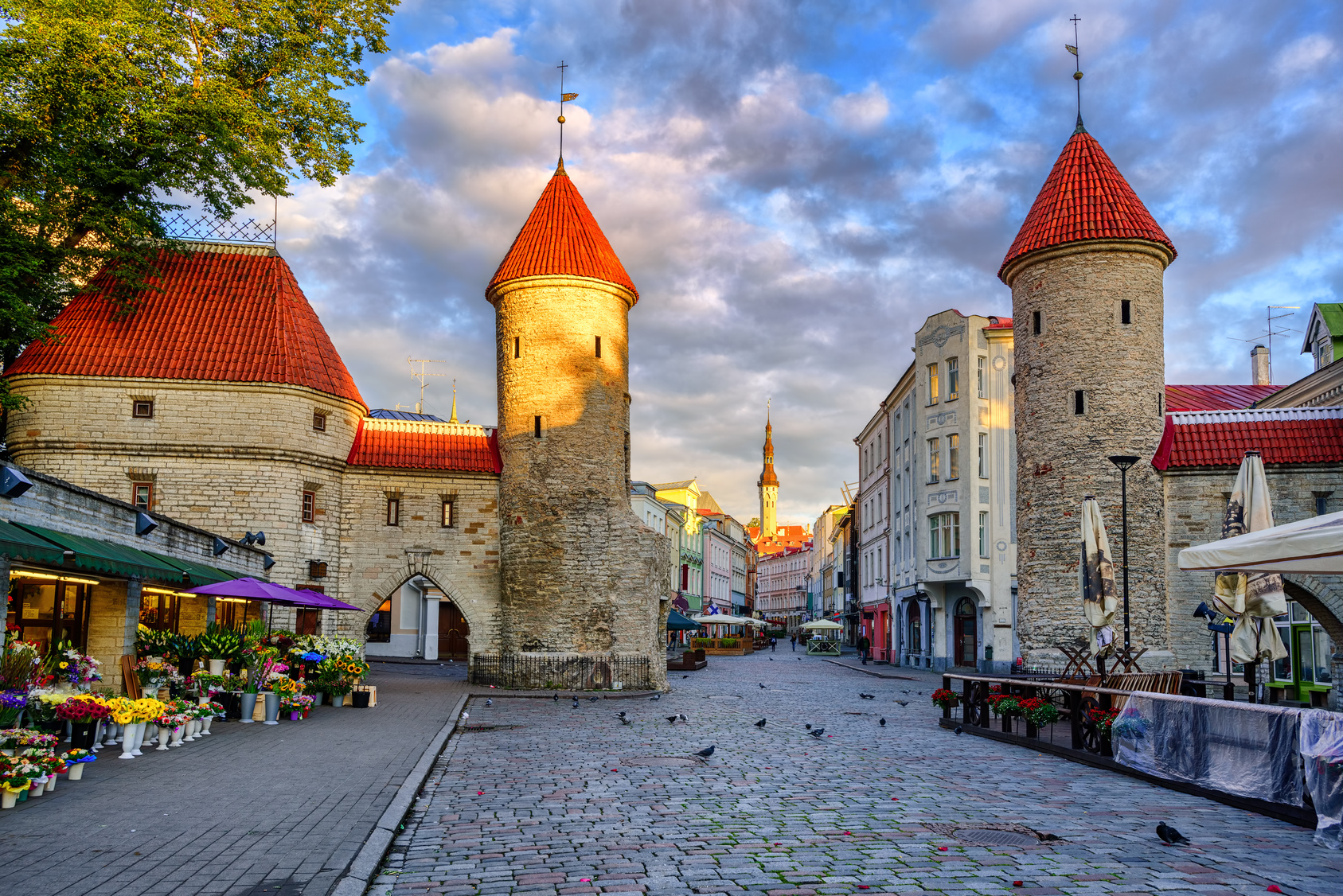 A Traveler's Perfect Guide to Estonia