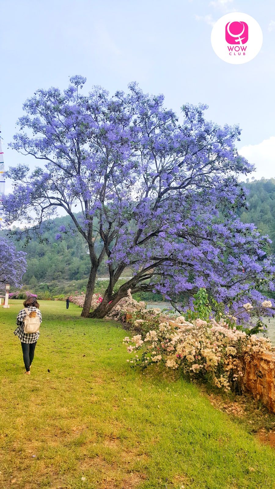 Complete Travel Guide to maximizing your Bhutan experience