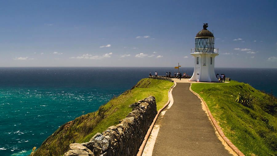 activities in paihia - day trip paihia to cape reinga