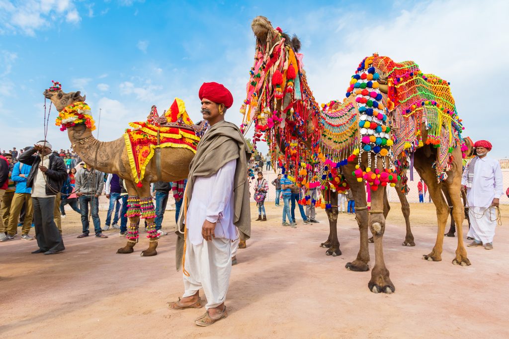 Pushkar mela | camel fares in Rajasthan