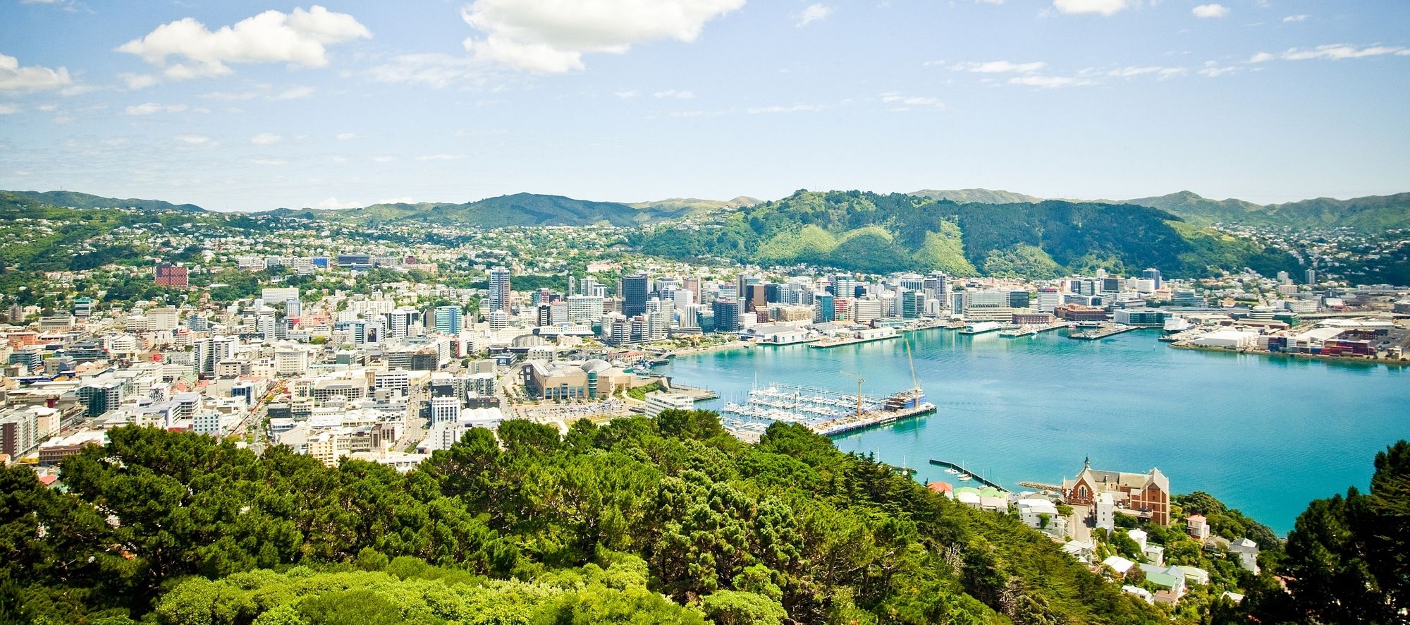 free things to do in wellington - walk to mount victoria