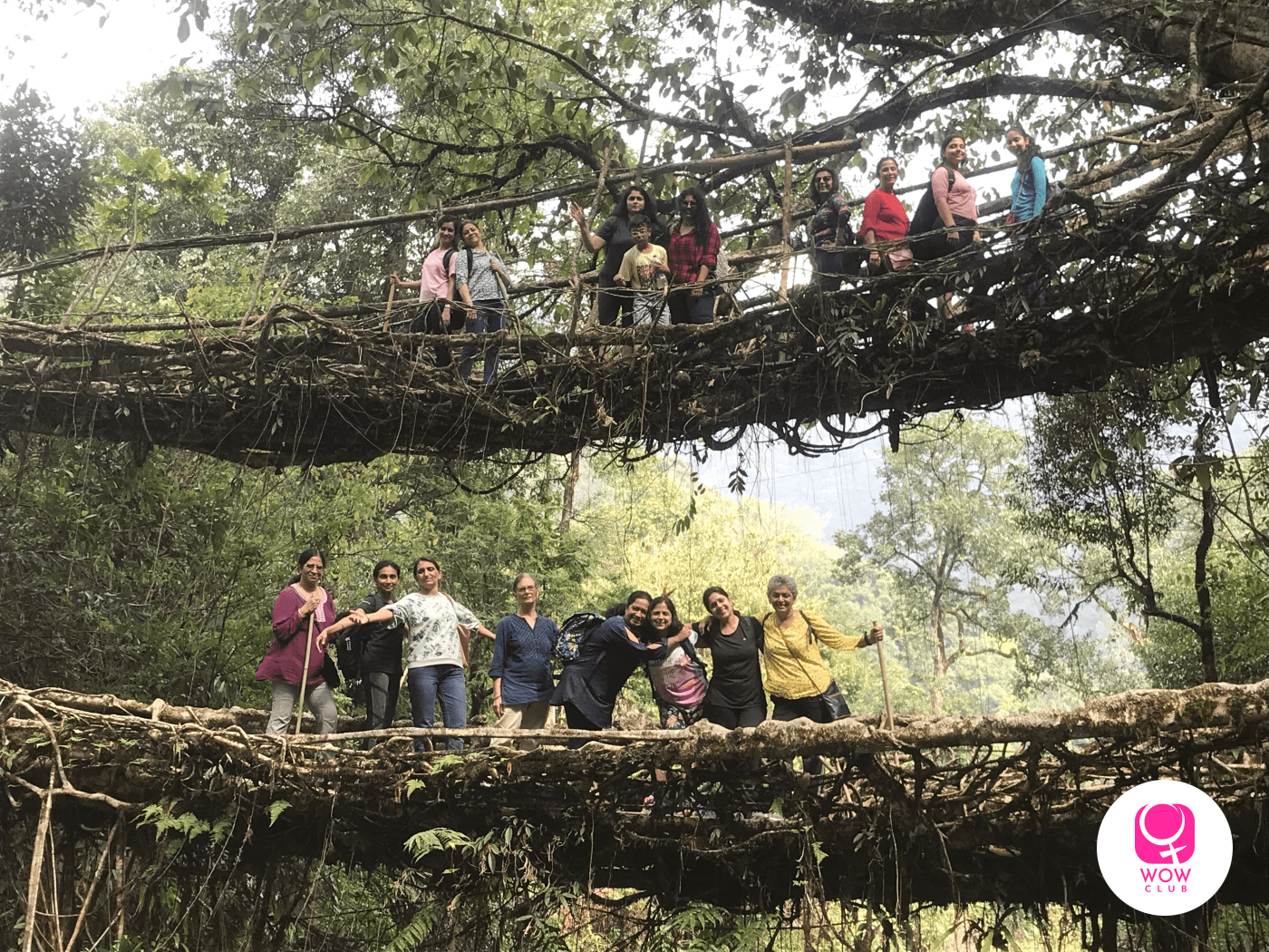 Double Decker Living Root Bridge, Nongriat