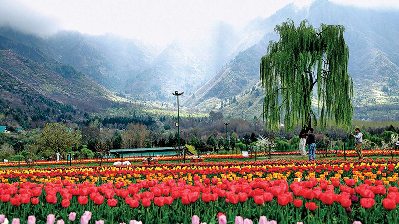 Spring in kashmir