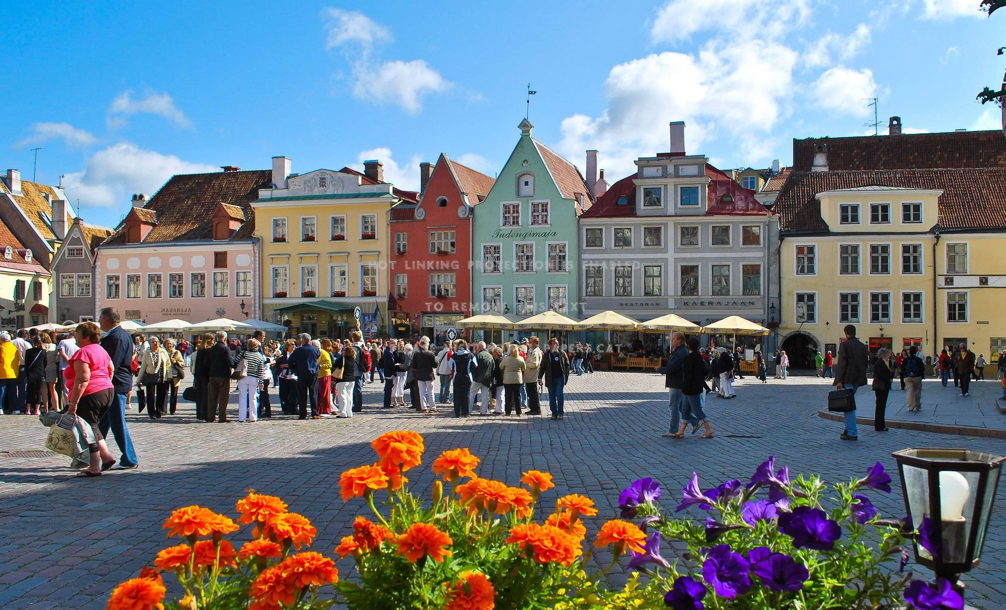 A Traveler's Perfect Guide to Estonia