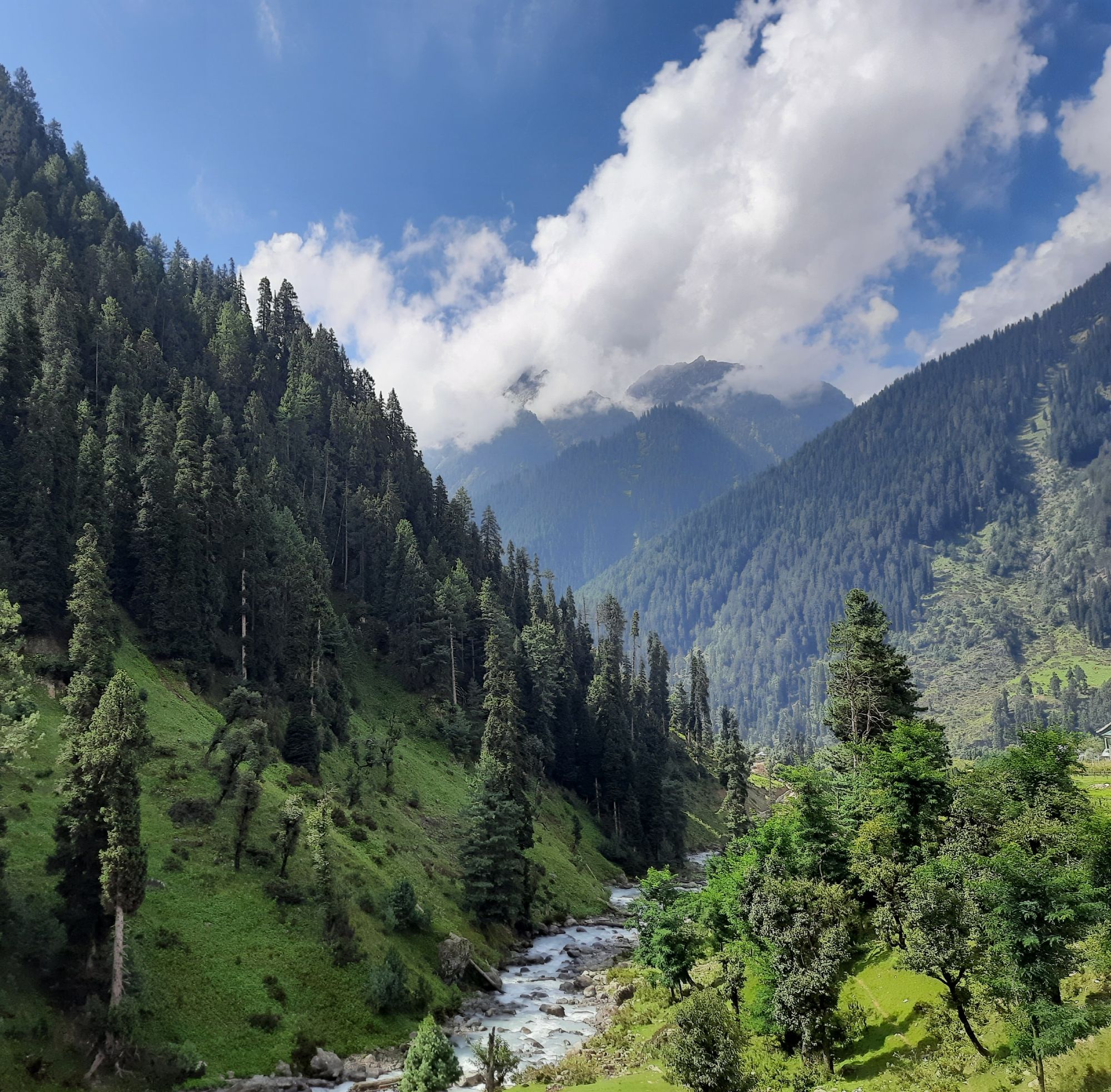 Spring in Kashmir