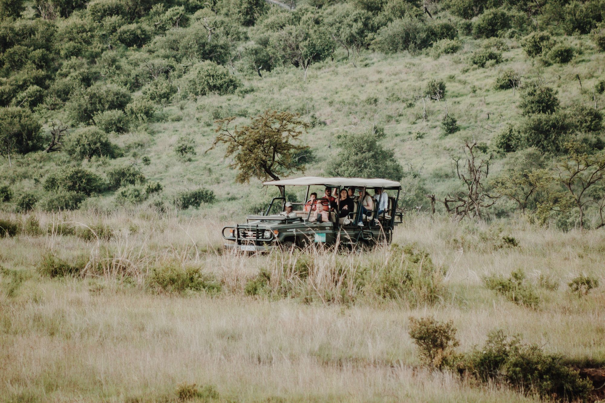 Jeep safari