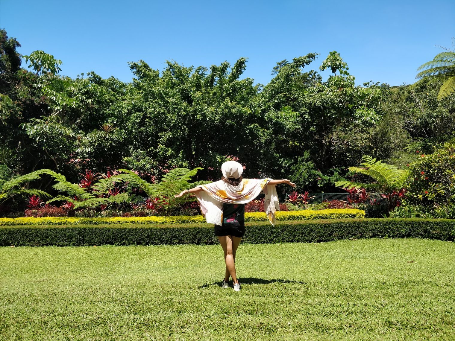 A WOW look back at 2017