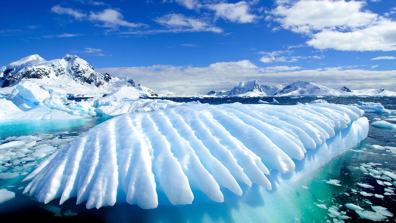 Things to Pack for Antarctica!