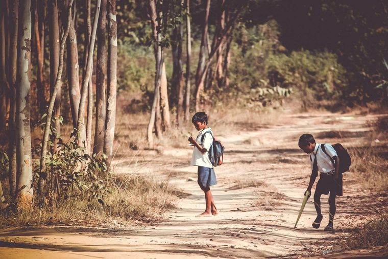 Goa Unplugged: Off the Beaten Track